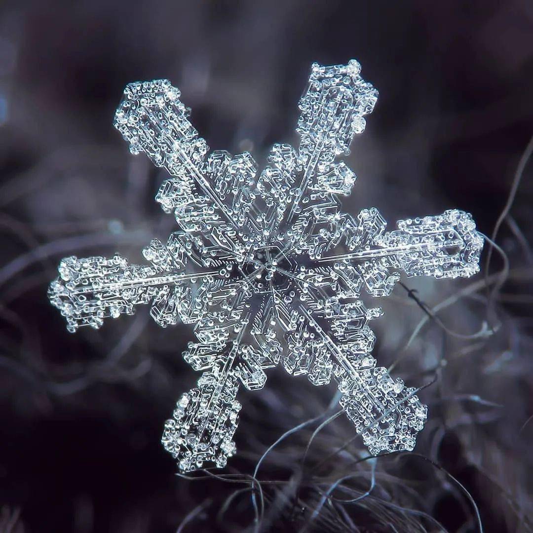 拍雪花的参数图片