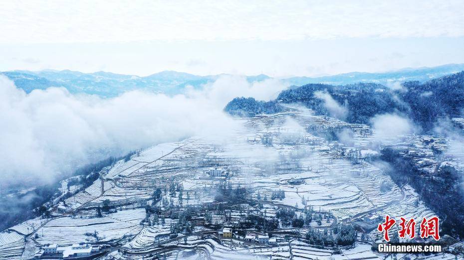 五峰|雪后湖北五峰茶园宛若童话世界