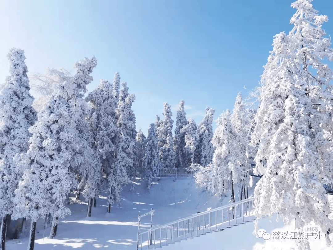 余姚四明山看雪图片