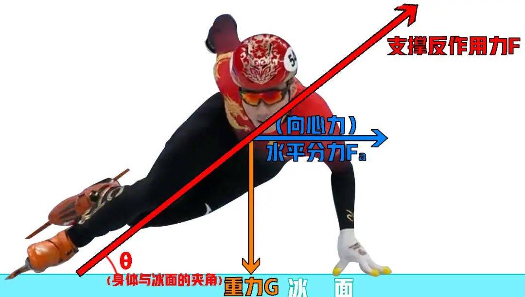短道速滑选手为何要弯道摸冰