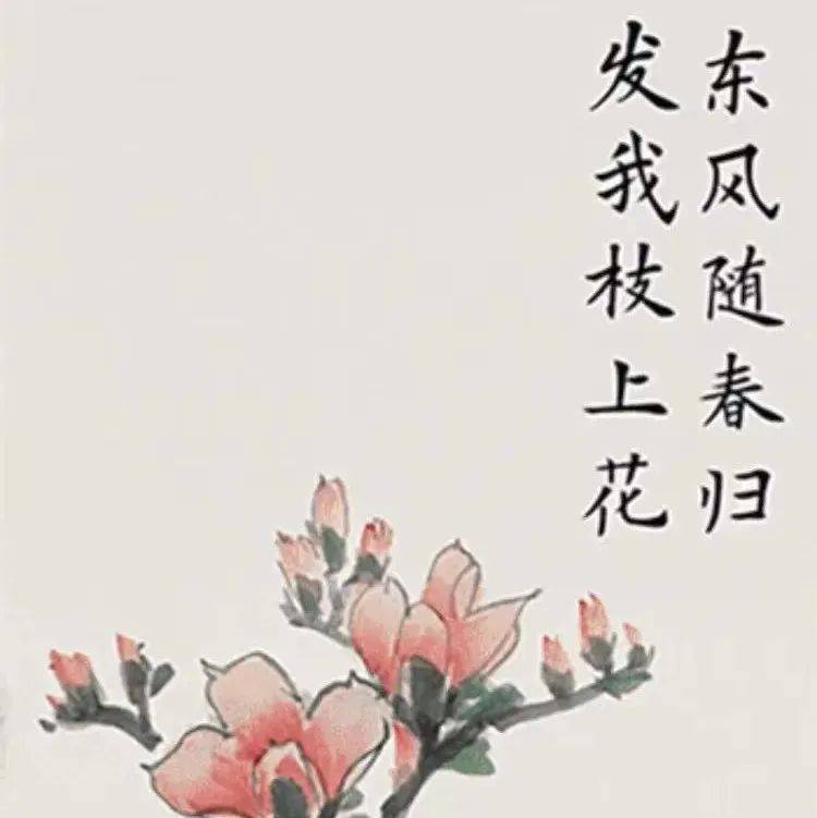 读总书记引用的这些古语,感受春天的美好!_习近平_出处_讲话