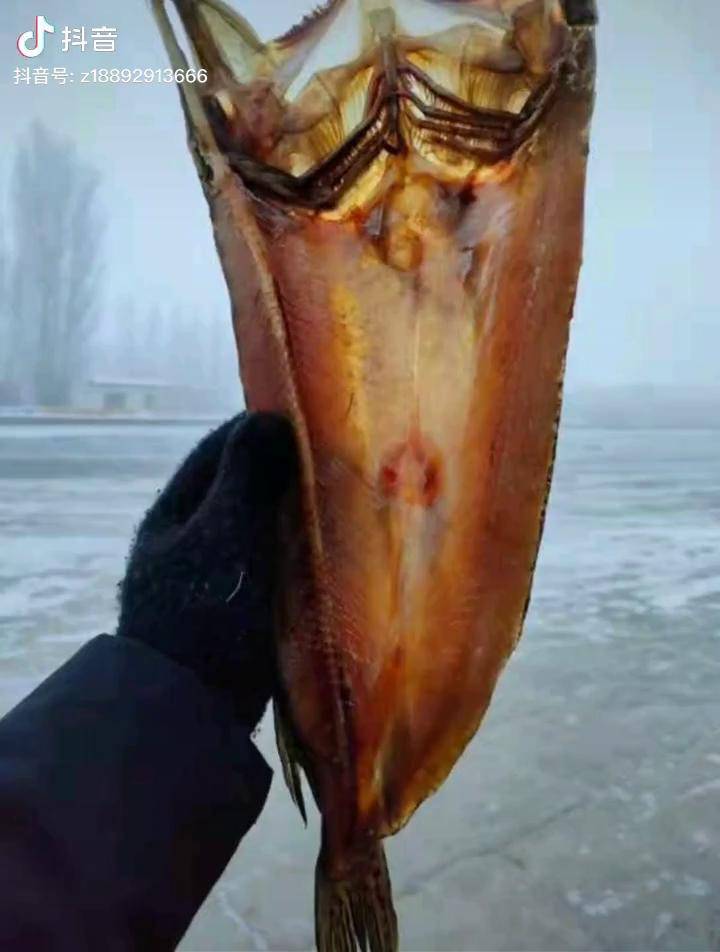 福海风干冷水狗鱼_福海_狗鱼_冷水