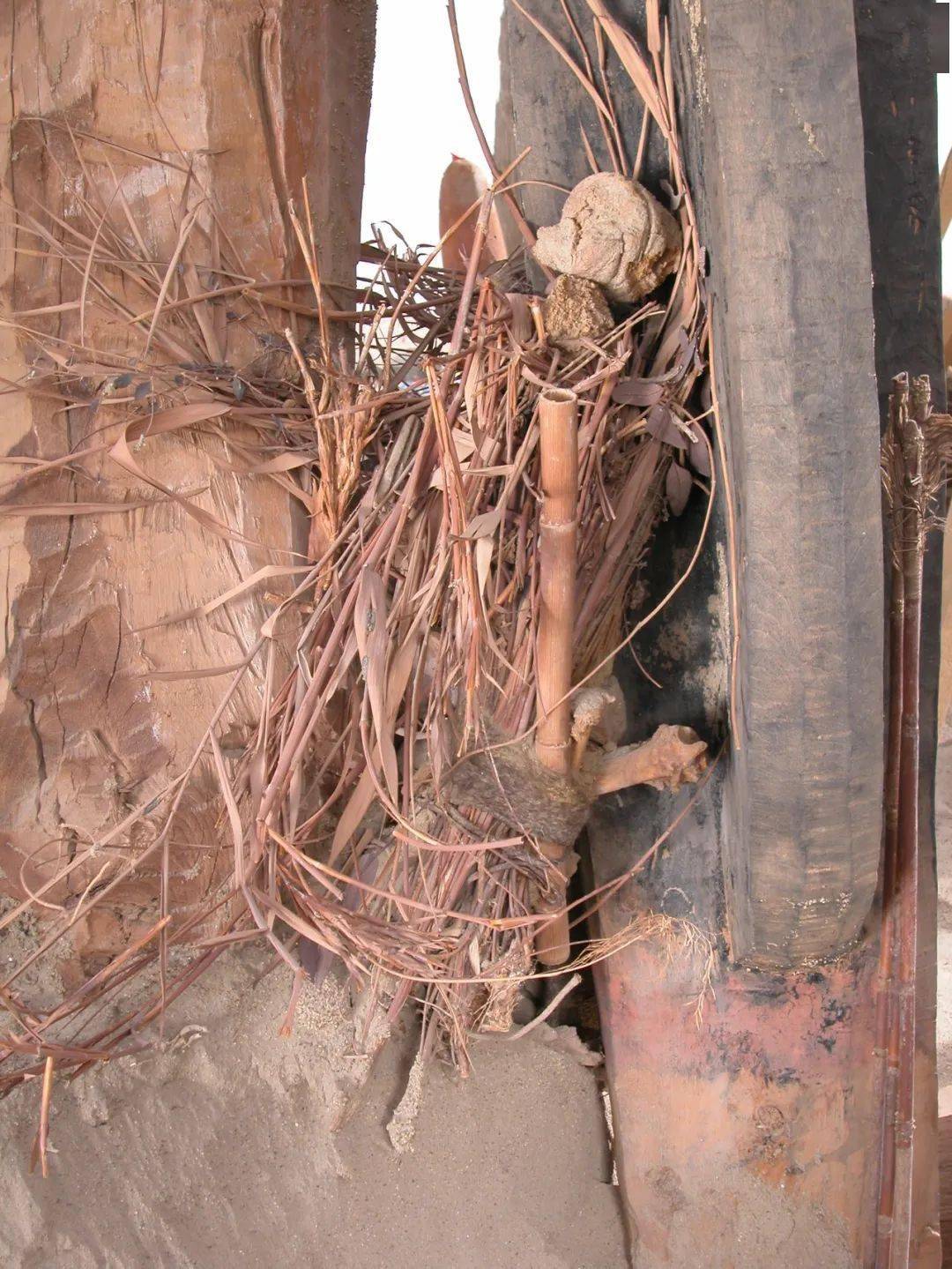 "全国十大考古新发现"新疆篇——若羌罗布泊小河墓地_墓葬_研究_文化