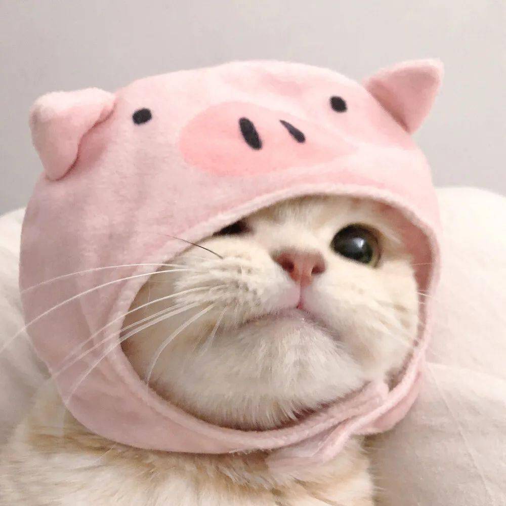 头像换个新头像换个好心情头像