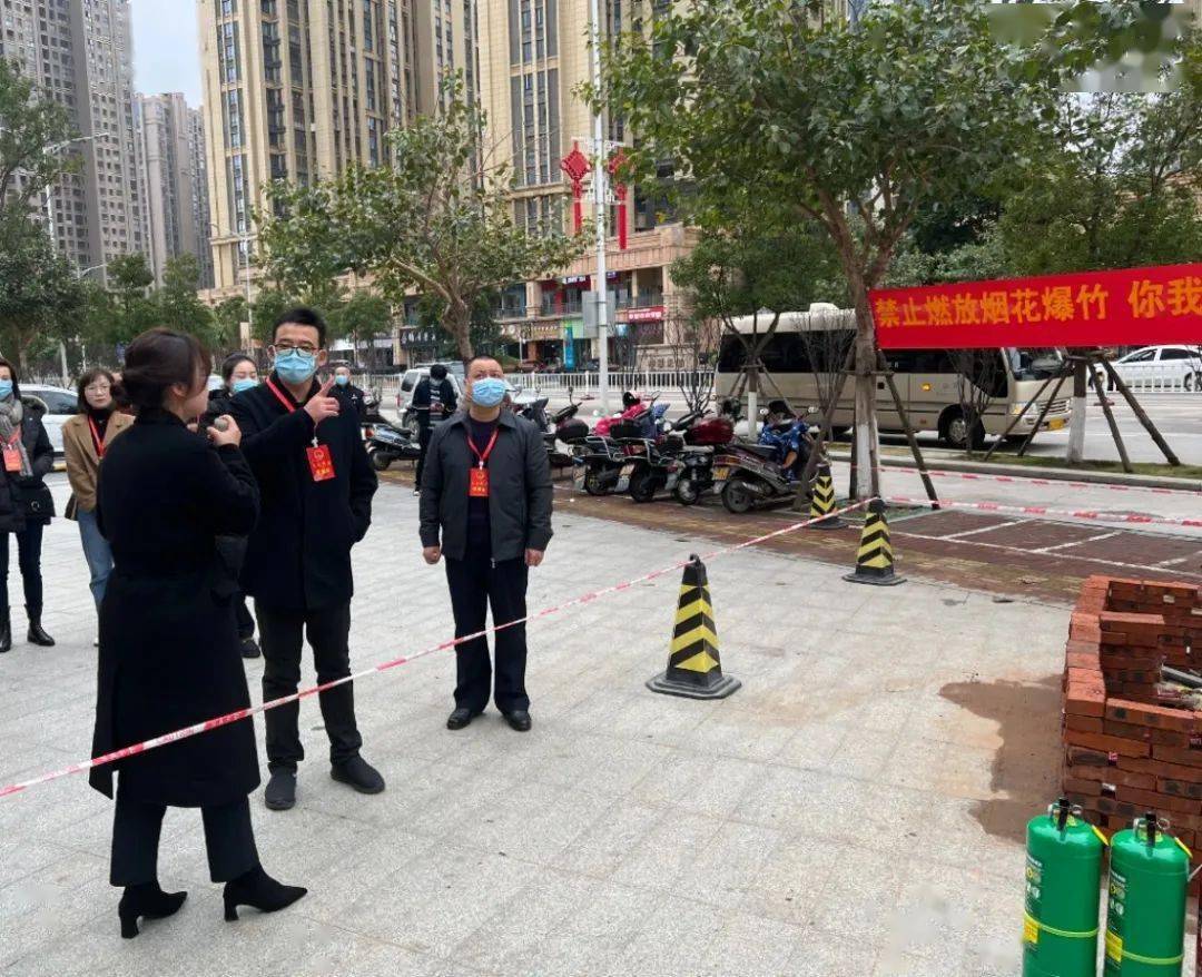 执法检查实地视察活动_相关_龙山街道_社区