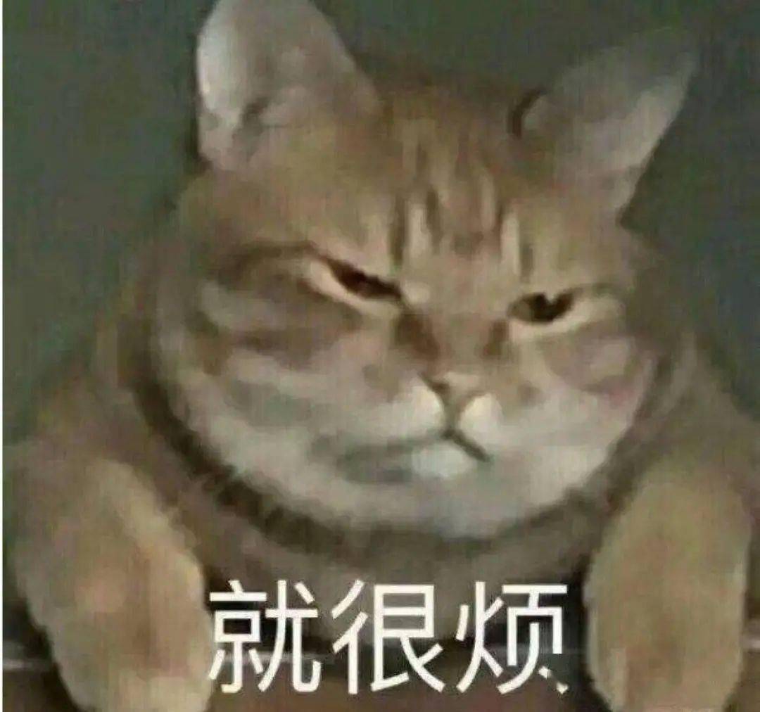 ea3eeb7c3f274016be3f77341588c090.jpeg