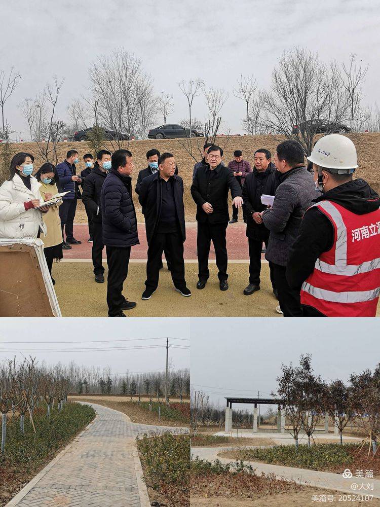 开封市政府王秋杰副市长带队督导调研我区沿黄生态廊道建设进度_国投