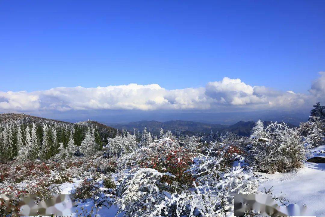令人流连忘返银装素裹的千野草场皑皑白雪梳妆山野千野草场更是唯美