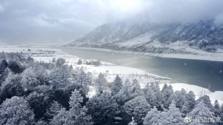 凉山|静谧如画！凉山雪景如绝美水墨画