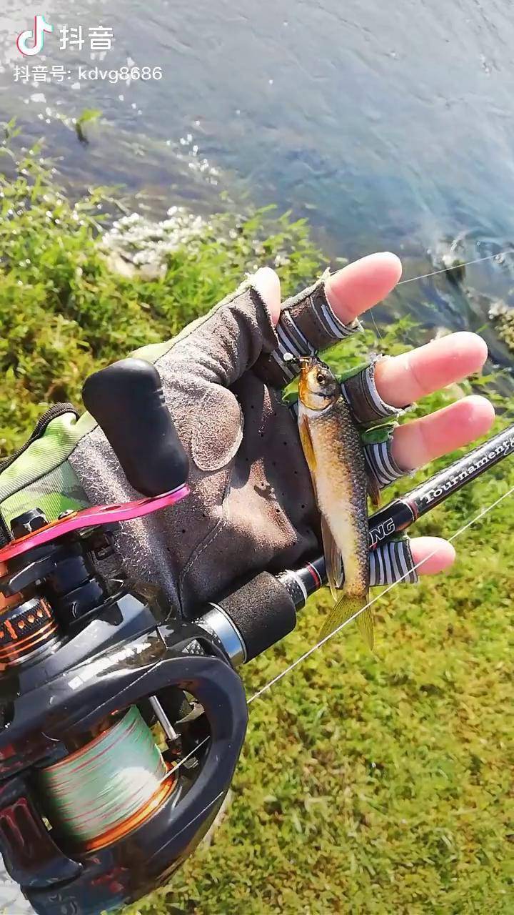 大炮打苍蝇真厉害