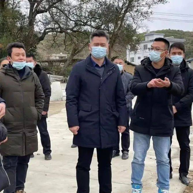 程钊到乡镇调研撂荒地及香芋全产业链、万亩设施蔬菜发展工作_乡村_程钊_发展
