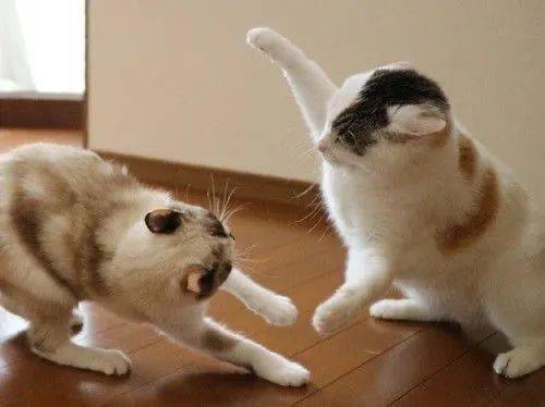 哎!锁我喉是吧!你等着的!