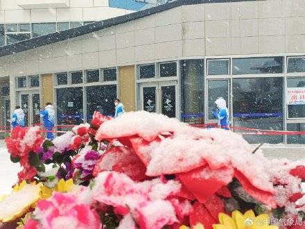 杨树|瑞雪如期而至！冬奥会张家口崇礼赛区出现降雪