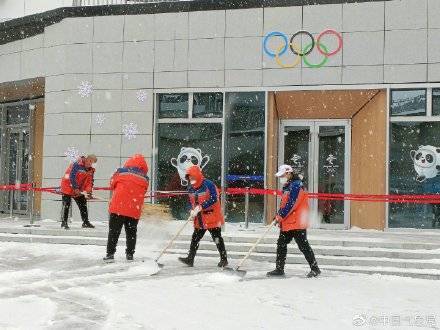 杨树|瑞雪如期而至！冬奥会张家口崇礼赛区出现降雪