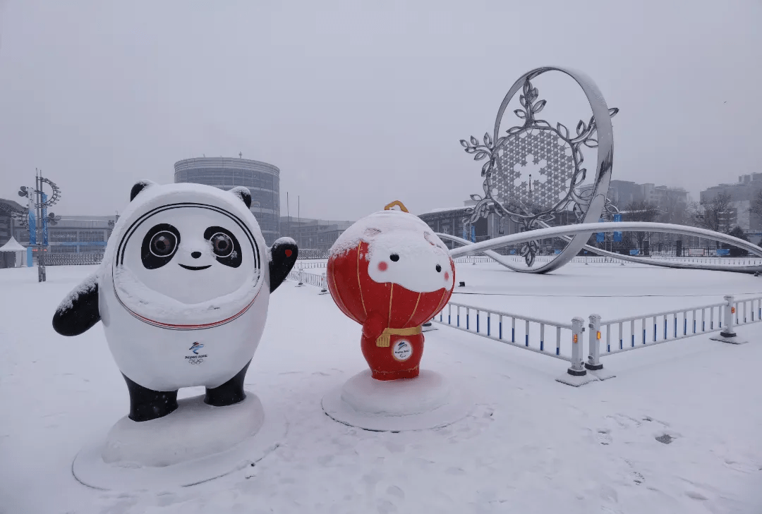 新闻8点见丨虎年初雪,双奥之城迎来"氛围组"_北京迎虎年初雪_冬奥
