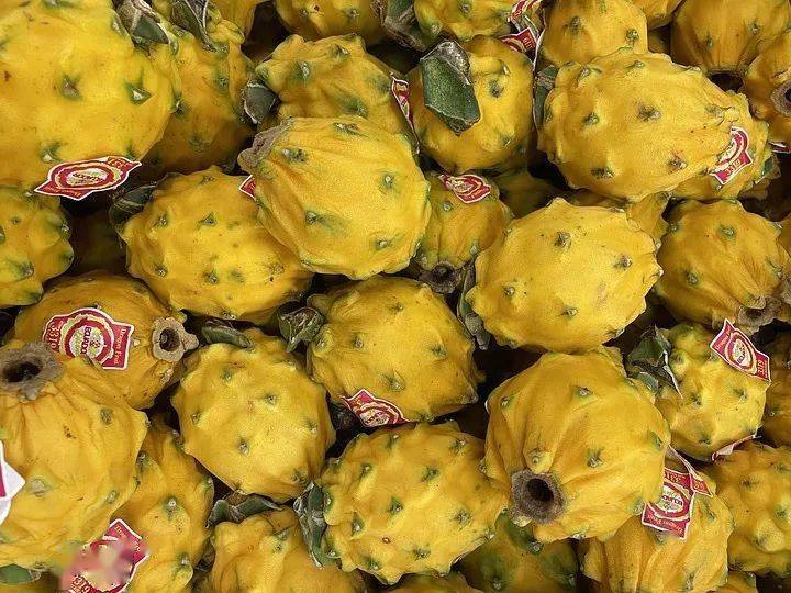 厄瓜多尔麒麟果获得准入,最快明年6月输华_出口_中国_市场