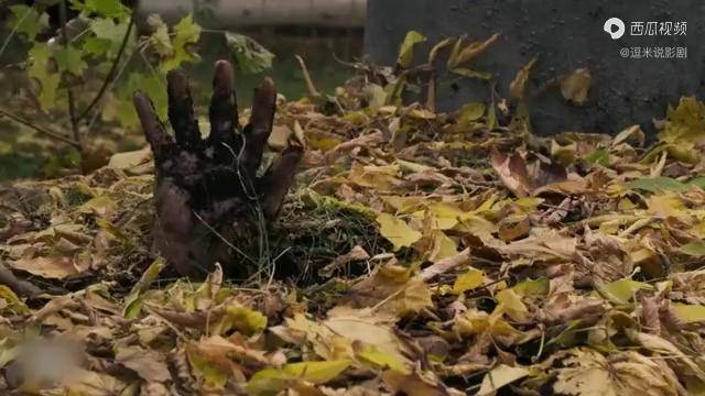 2021灾难丧尸片活死人从墓地爬出小镇沦为人间地狱