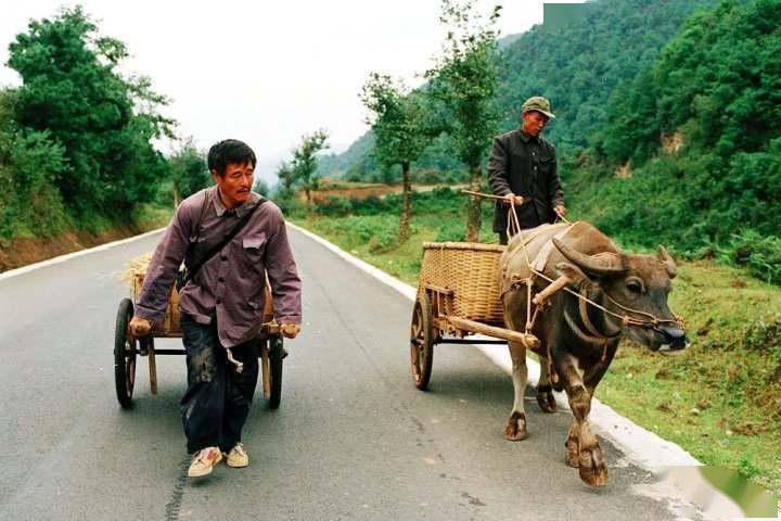 尸体|国产公路片的天花板，虽然有赵本山，但从不觉得这是喜剧片