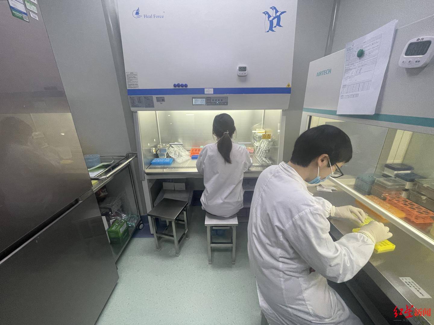 治疗|“成都造”基因疗法启动临床研究！分三期进行，有望3至5年后上市新药