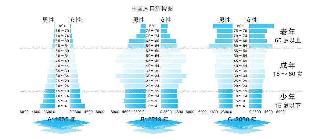 人口结构图怎么做图片