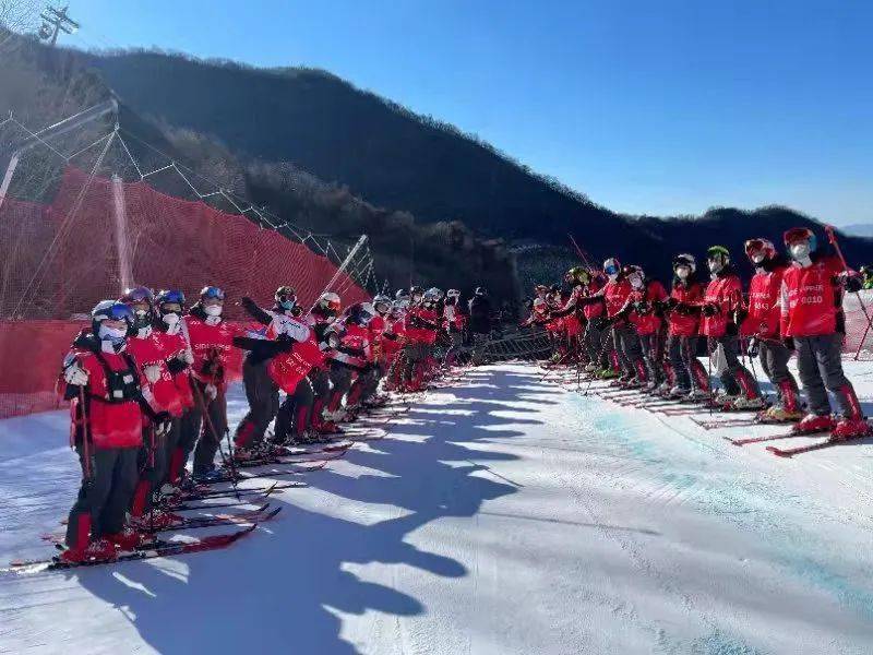 滑雪冠军苗丽艳图片