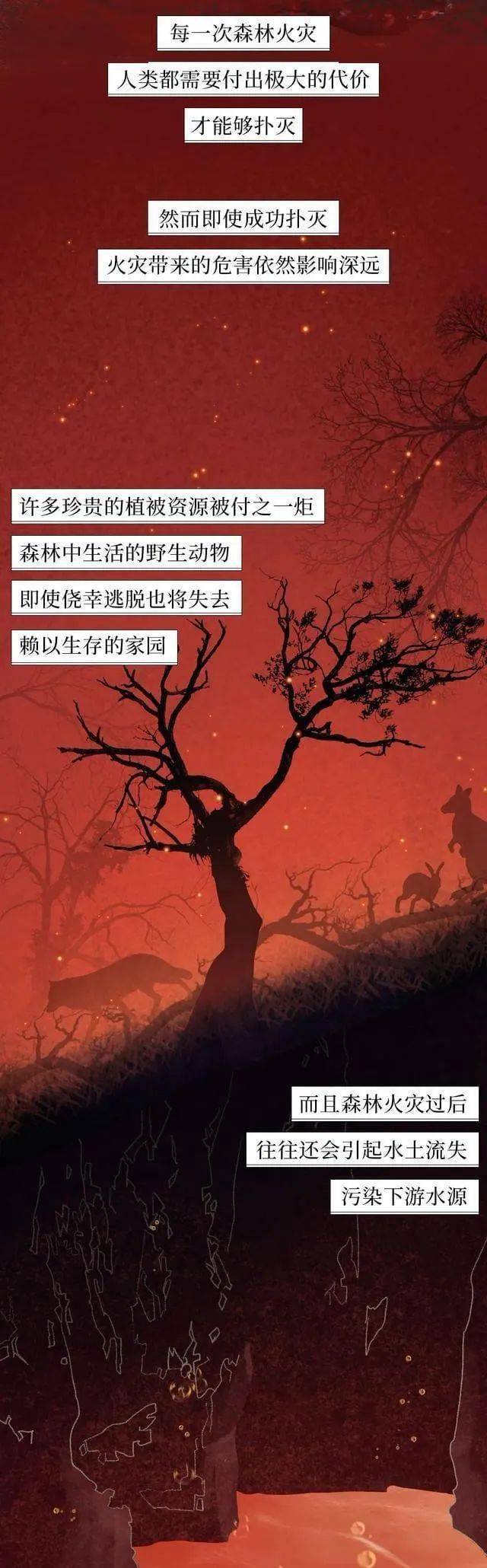 校对|森林草原防灭火丨一图搞懂森林火灾那些事