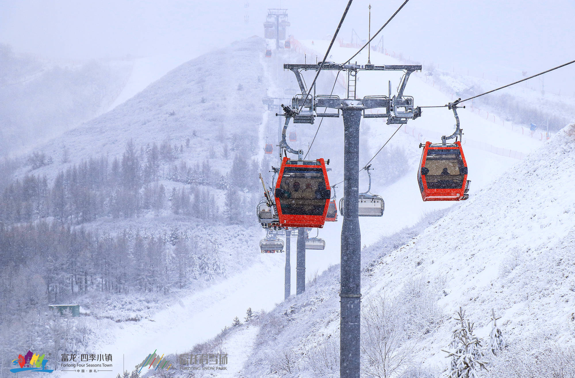 小时候|少年闯入“无人之境”：雪地上的谷爱凌与苏翊鸣