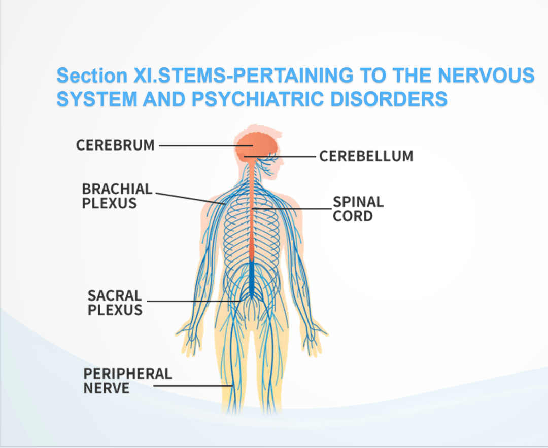 看看有你吗?_词汇_医学_护理