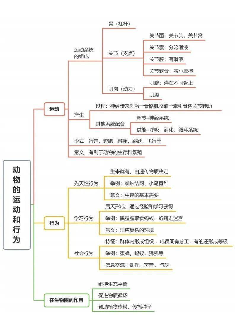 初中生物全冊思維導圖總結所有必考點一目瞭然