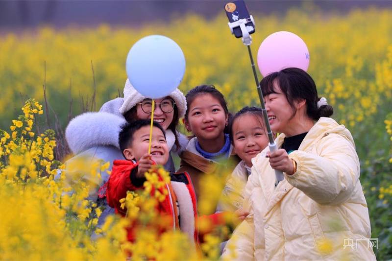 非法|【赏花正当时】春日美景 油菜花开引客来