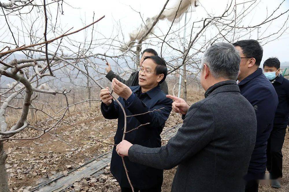 县委书记刘军一同调研.