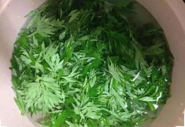 艾草是宝, 妙用要记好_艾叶_气血_艾灸