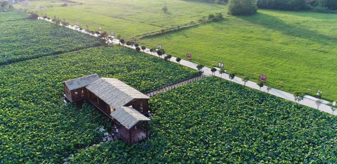 大丰收黄湖农场京九大桥彩虹桥老龙埂水库河滩双柳洪山寨望河楼西关铜