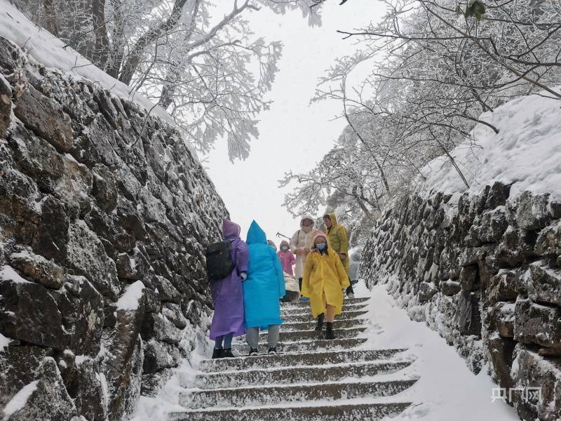 事宜|安徽黄山又又又降雪啦！惊羡游客、催热赏雪游