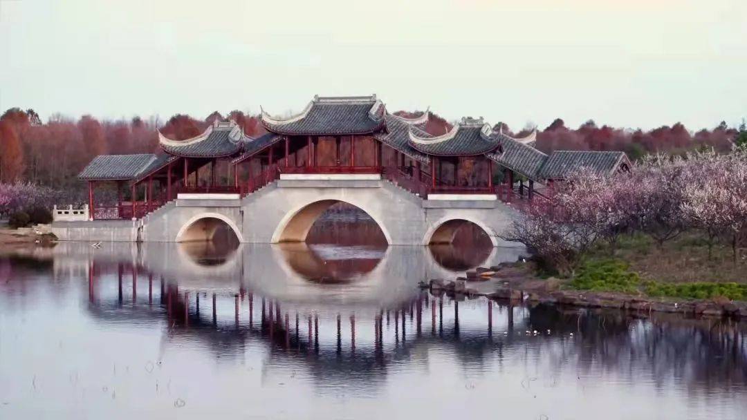 门票|梅花季上线！你要的古风红墙映梅高清图都在这里啦