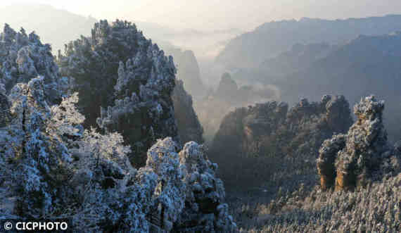 游客|飞雪迎春到