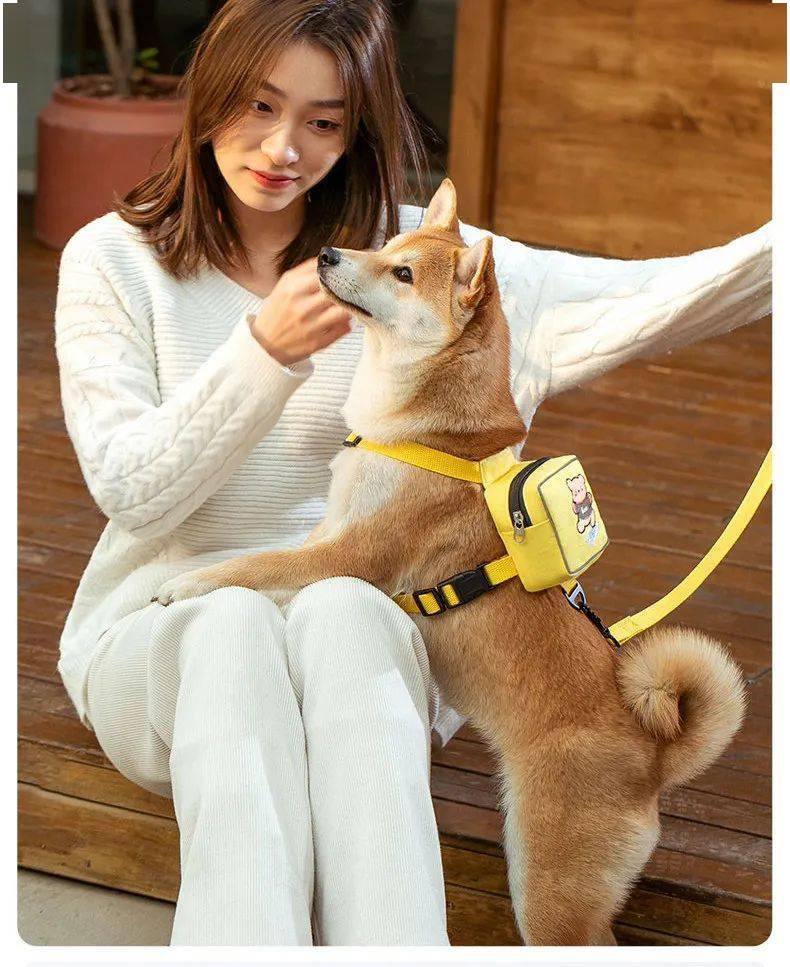 背着小书包 出门啦 主子 狗狗 项圈