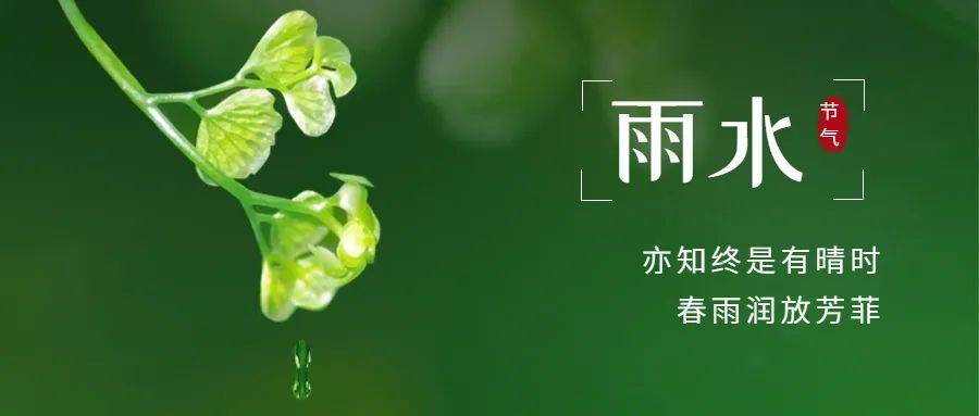 雨水我們將迎來二十四節氣的第二個節氣2022年2月19日0時43分