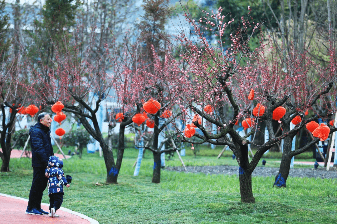 大雪|汉中这个白月光之地，早春之际您来赏游了吗？