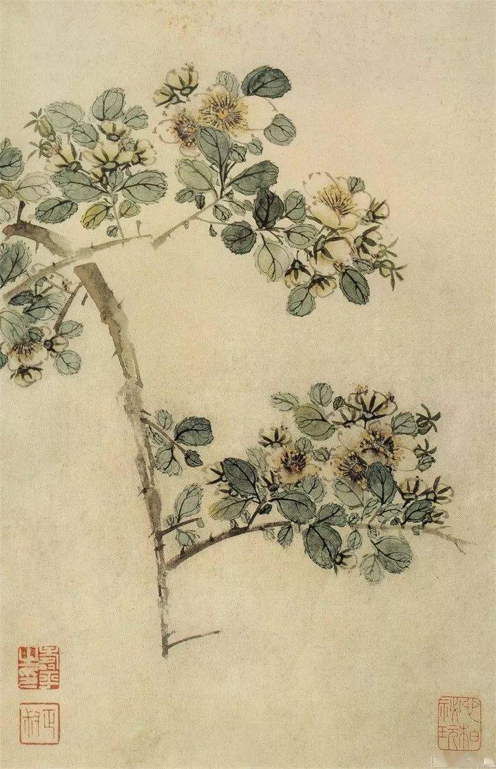 恽寿平235幅没骨花鸟画精品欣赏