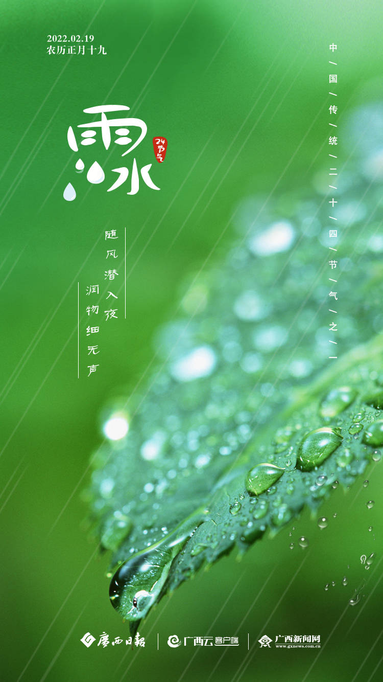 广西|24节气海报｜雨水