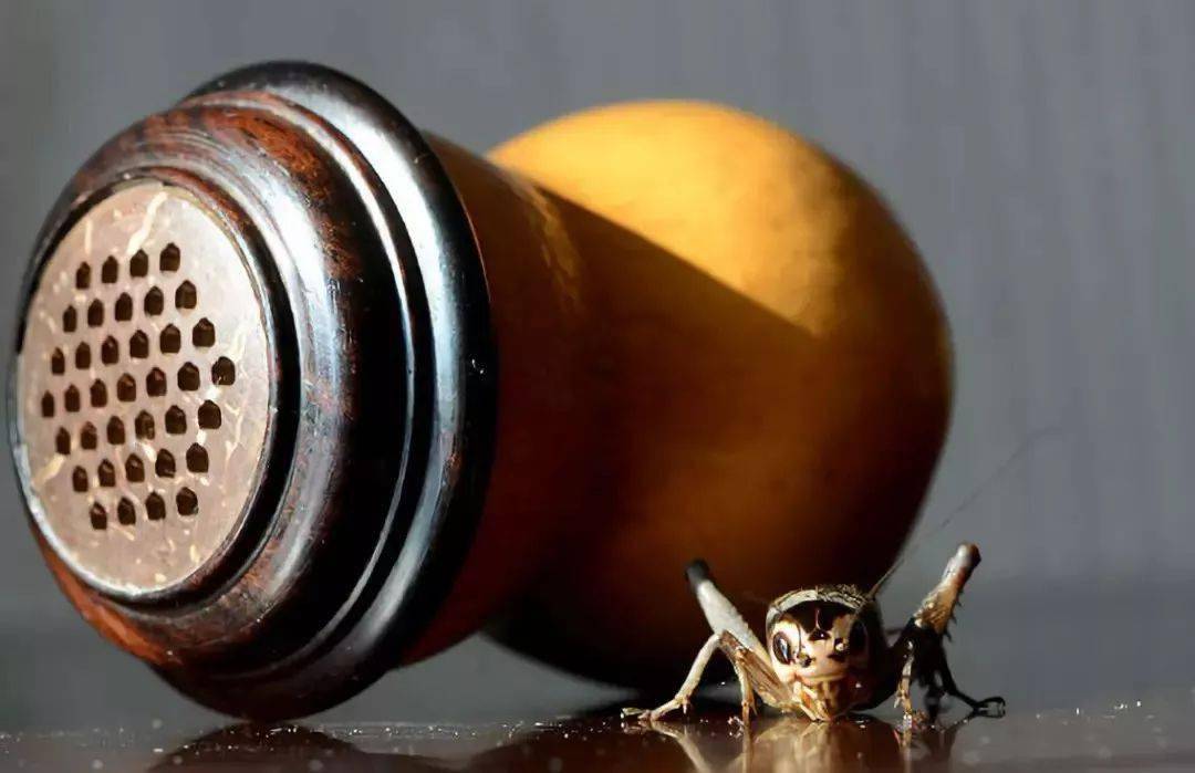 王世襄的小玩意儿_葫芦_天地_器物