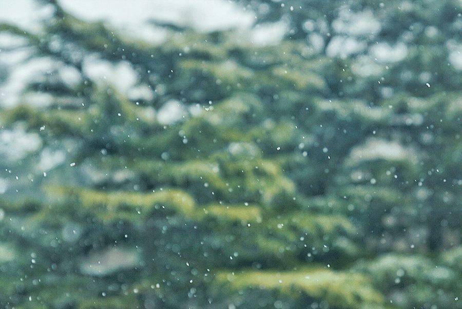 节气|今日雨水：好雨知时节，当春乃发生