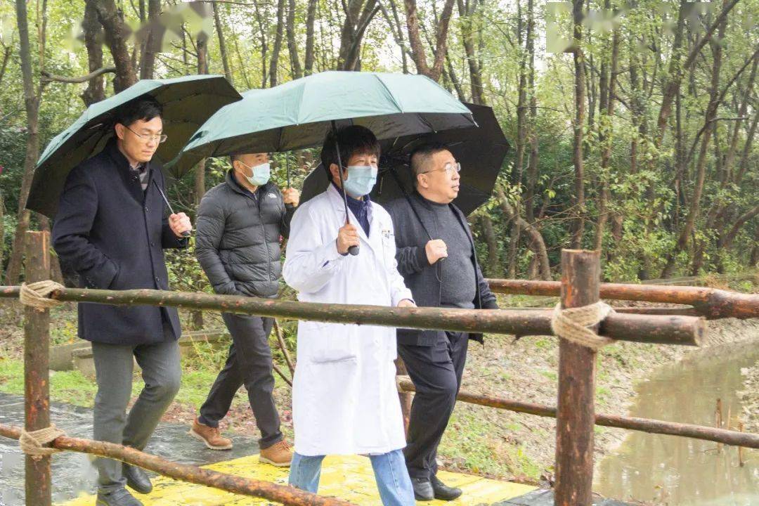 理事长张飞宇一行莅临宁波市精神病院(宁波市民康医院)调研指导工作