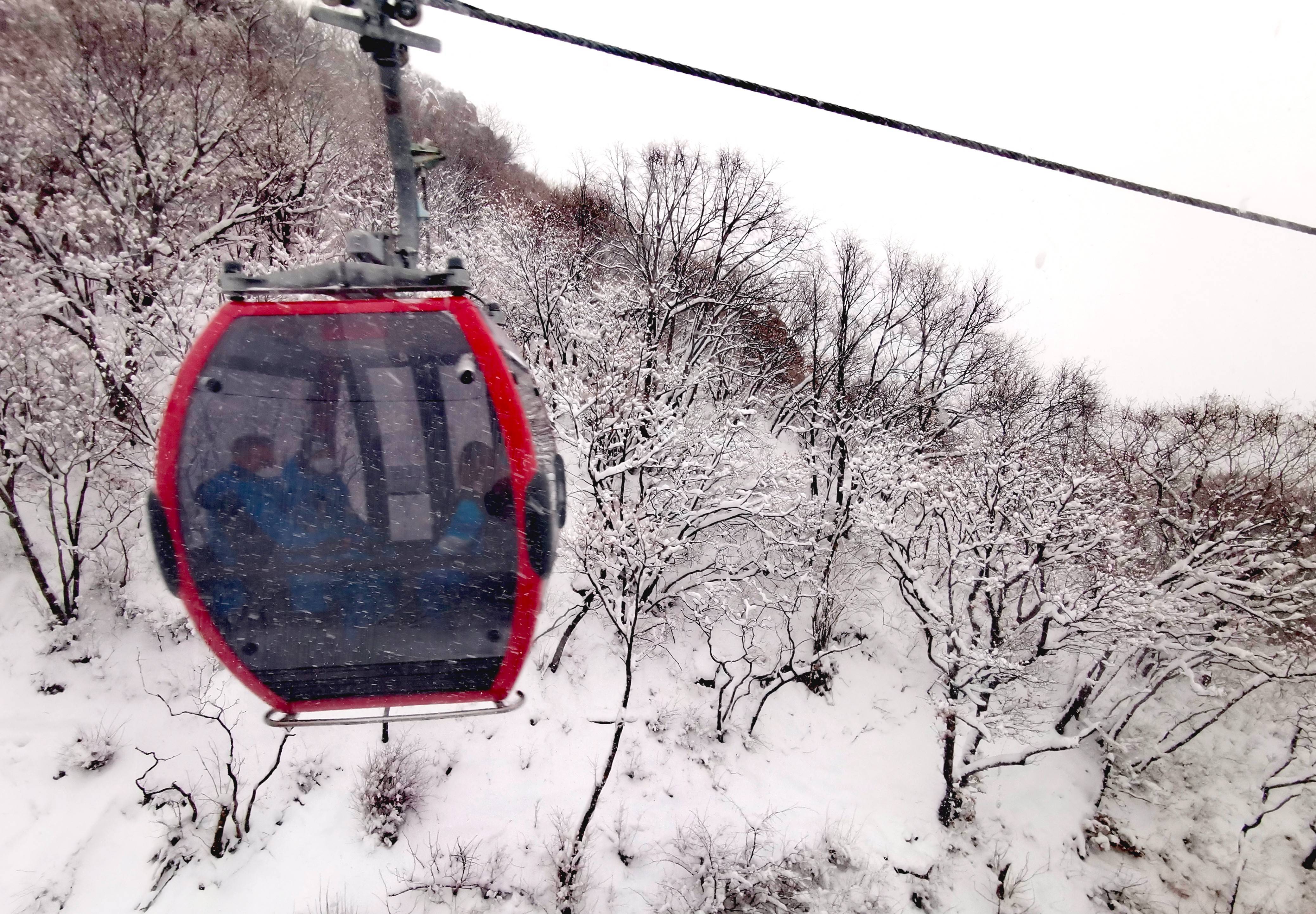 系统|无缆车，不高山！“雪飞燕”缆车赢得各方称赞