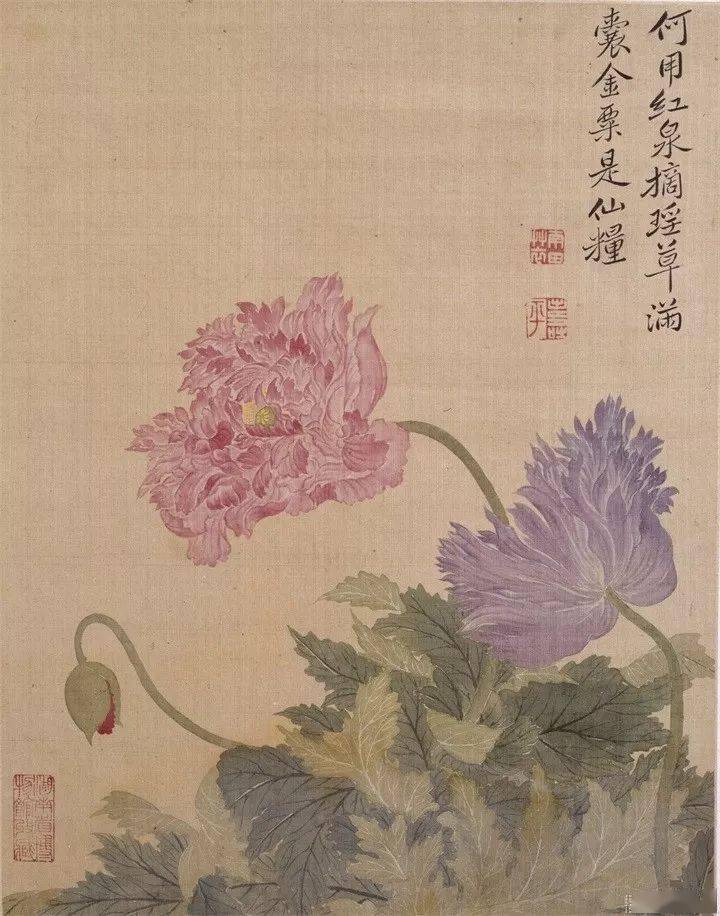恽寿平235幅没骨花鸟画精品欣赏