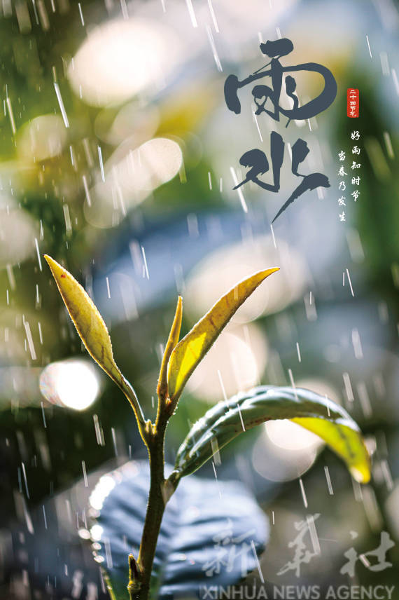 田其珍|报节气|好雨知时节