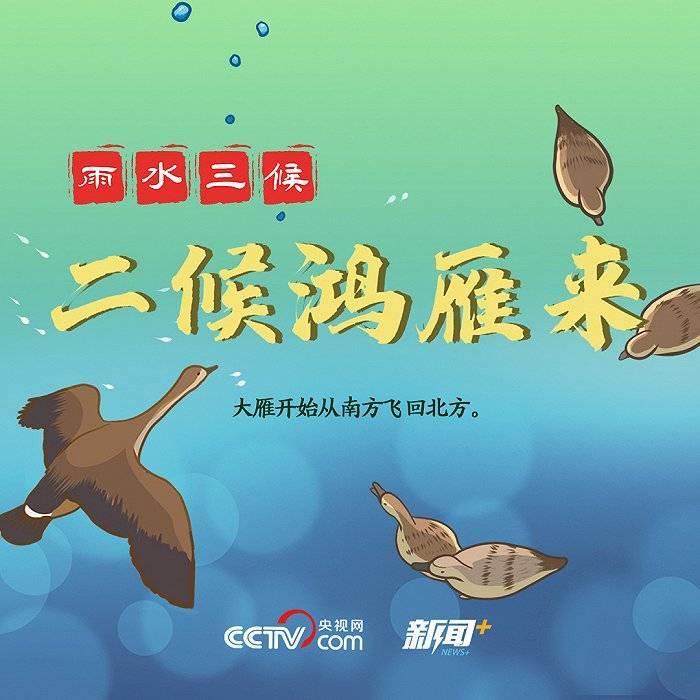 孟利铮|寻找雨水节气的硬核知识点