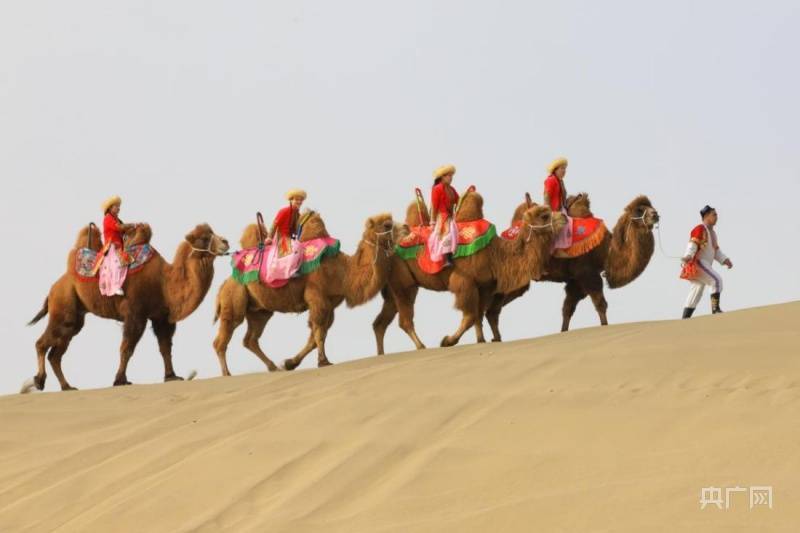 博湖|沙漠驼队踏寻大漠风光 为全域旅游增添新活力