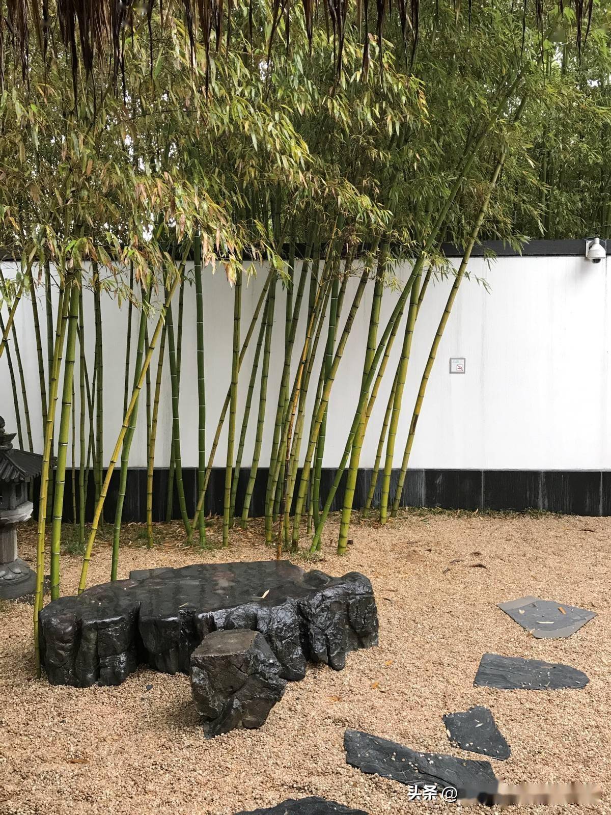 苏博:最接近宋代文人雅居的小院落_庭院_草房_草堂